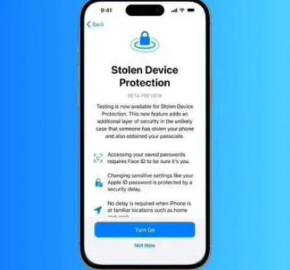 沙湖镇苹果授权维修店分享被盗设备保护功能开启方法 