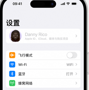 沙湖镇appleID维修服务iPhone设置中Apple ID显示为灰色无法使用 