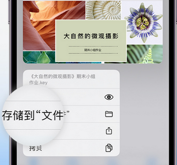 沙湖镇apple维修中心分享iPhone文件应用中存储和找到下载文件