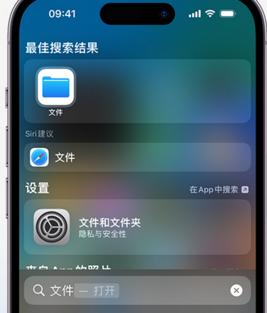 沙湖镇apple维修中心分享iPhone文件应用中存储和找到下载文件