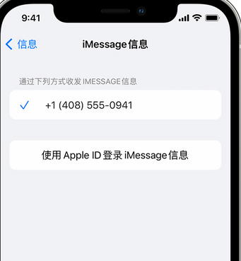 沙湖镇apple维修iPhone上无法正常发送iMessage信息