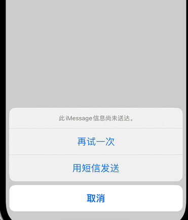 沙湖镇apple维修iPhone上无法正常发送iMessage信息