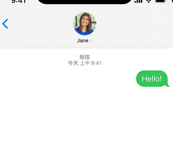 沙湖镇apple维修iPhone上无法正常发送iMessage信息