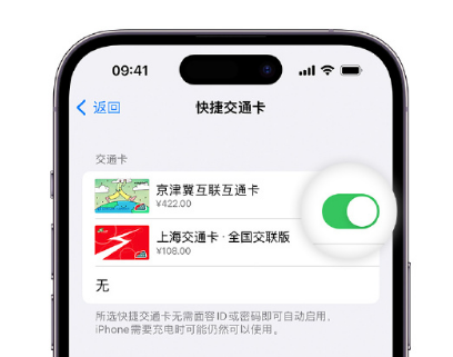 沙湖镇apple维修点分享iPhone上更换Apple Pay快捷交通卡手绘卡面 