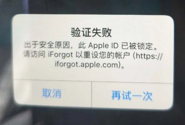 沙湖镇iPhone维修分享iPhone上正常登录或使用AppleID怎么办 