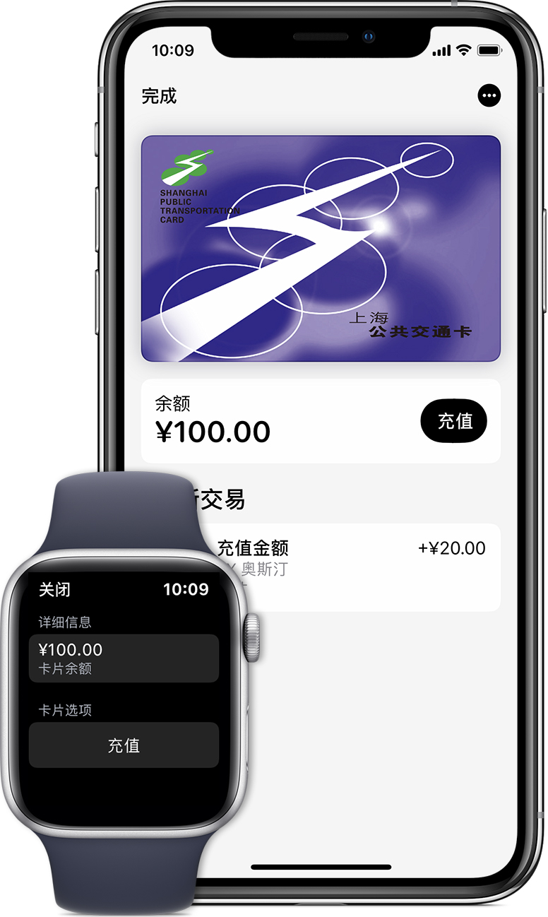 沙湖镇苹果手机维修分享:用 Apple Pay 刷交通卡有哪些优势？如何设置和使用？ 