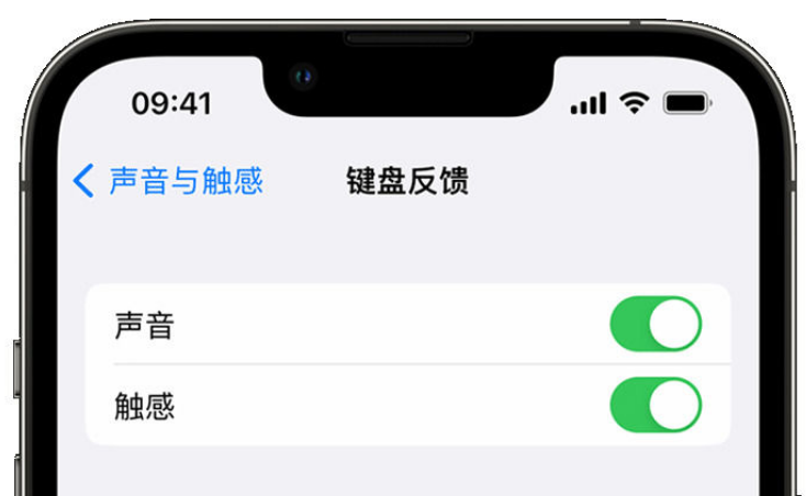 沙湖镇苹果手机维修分享iPhone 14触感键盘使用方法 