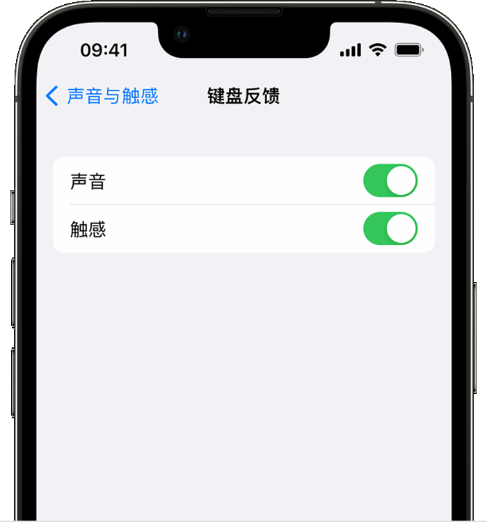 沙湖镇苹果14维修店分享如何在 iPhone 14 机型中使用触感键盘 