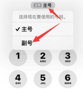 沙湖镇苹果14维修店分享iPhone 14 Pro Max使用副卡打电话的方法 