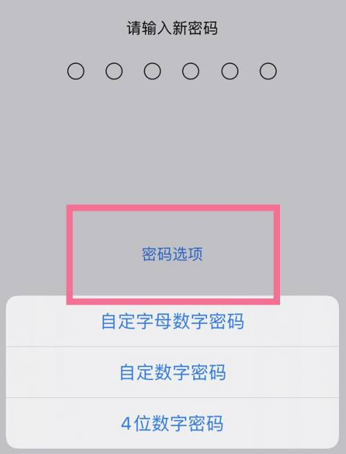 沙湖镇苹果14维修分享iPhone 14plus设置密码的方法 