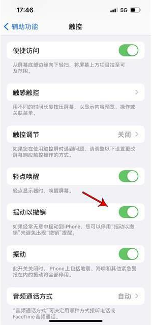 沙湖镇苹果手机维修分享iPhone手机如何设置摇一摇删除文字 