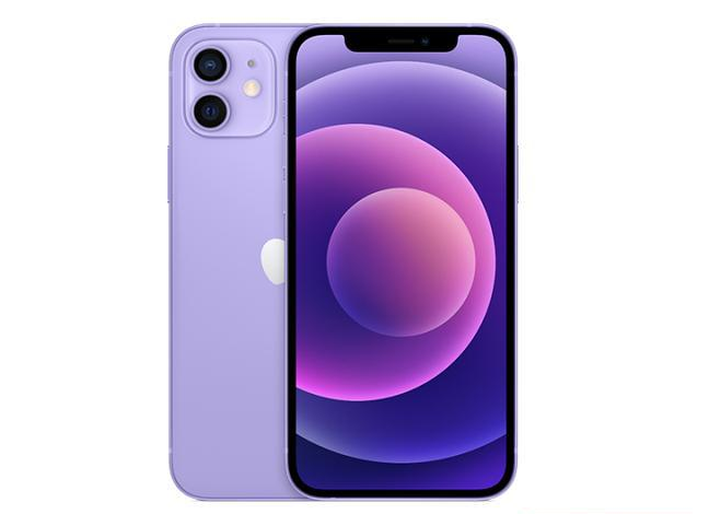 沙湖镇苹果手机维修分享现阶段要不要入手紫色版iPhone12 