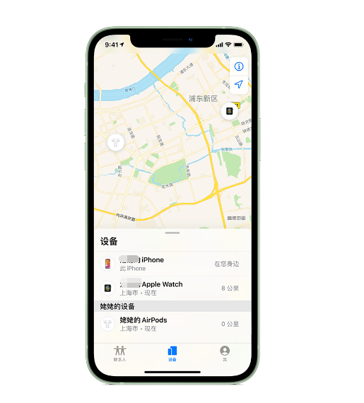 沙湖镇苹果手机维修分享iPhone “家人共享”功能 